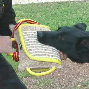 Жесткая подушка «Dog Fight» для дрессировки овчарки